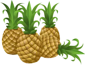 Ananasovník